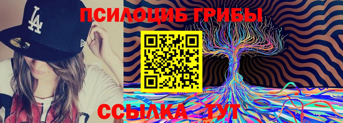 Балашиха  Галлюциногенные грибы мухоморы  Вход с VPN  Галлюциногенные грибы Psilocybine cubensis 