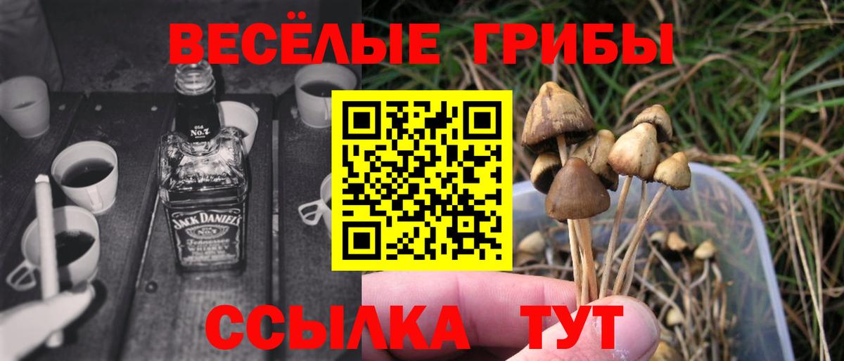 Псилоцибиновые грибы GOLDEN TEACHER Балашиха
